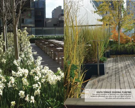 Seasonal plantings like daffodils and Blue Shadow Fothergilla make for outdoor space that feels a long way from the hurly-burly of Midtown Manhattan. 