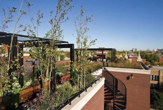 A new spiral stair leads from the penthouse balcony to the roof garden. Edges that face away from the view are planted with taller trees, such as quaking aspen.
