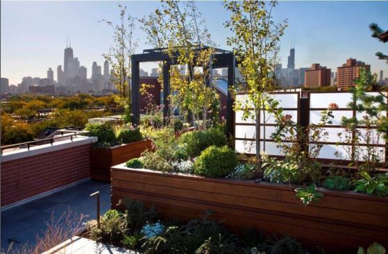 Shoji-like ipe-and-acrylic screens hide the rooftop’s air-conditioning units, while letting sunlight shine through. 
