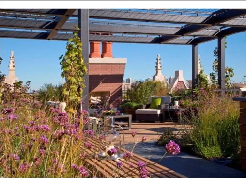 ‘Heavy Metal’ switchgrass and ‘Summer Beauty’ allium add color and texture. To the right is a built-in grill.


