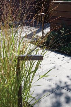 Low-profile, L-shaped stakes light the pathways, continuing the interior’s contemporary aesthetic.