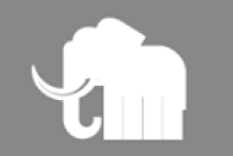 Ivory Homes