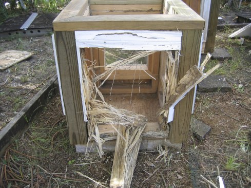 A generic wood window is no match for Hilo’s termites