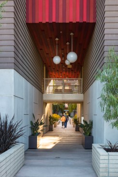 A garden club has formed around the community gardens. Residents enjoy complementary arts and social activities provided by EngAGE, a partner of the the developer, Meta Housing.