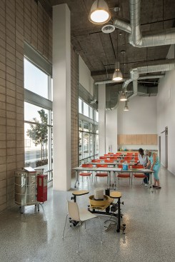 Random plums and reds define circulation patterns as people walk from one courtyard to the next. 