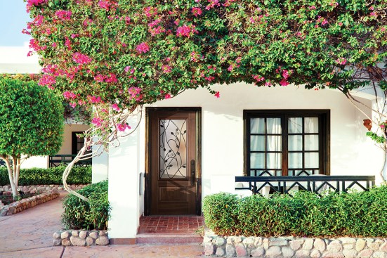 Belleville AvantGuard Black Walnut - The rich wood detail of the AvantGuard fiberglass door complements Mediterranean homes with wrought iron and intricate details for a luxurious and striking effect.