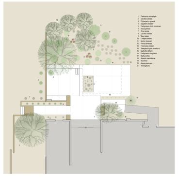 The project's site plan.