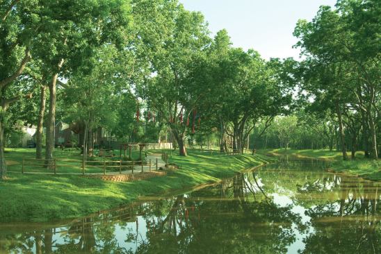 A big part of Johnson Development's success with their portfolio of communities is creating a sense of place with up-front investment in enhanced natural features. 
