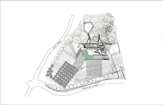 The site plan.