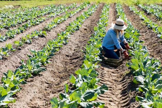 Kiawah River has a working farm at its center, a reminder of the area’s rich agricultural heritage.