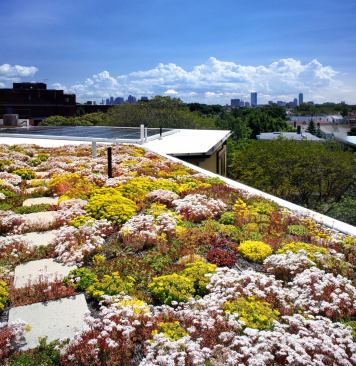 Flowering sedum blankets about 35% of the roof, a popular spot for local high school educational tours.