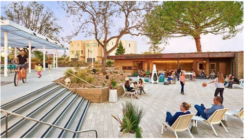 Public spaces and pine tree at Parasol Park. Photo by Studio One Eleven