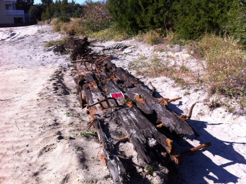 The 60-foot-long piece of timber was carefully excavated from the site.