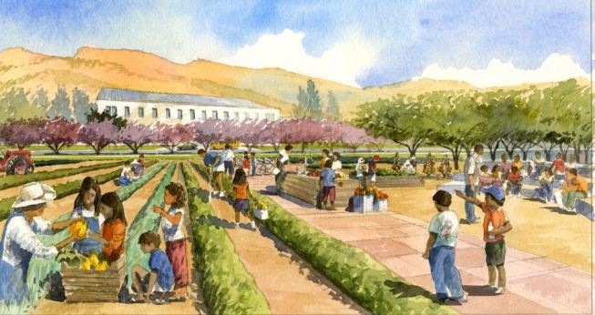 Farm to Table at Tejon Ranch