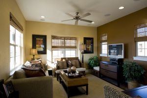 Estrella plan living room.