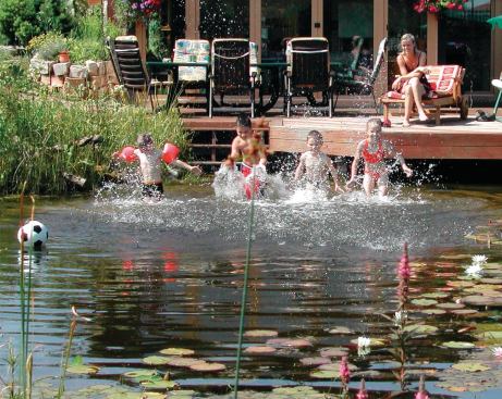 Natural pools appeal to two types of homeowners—naturalists seeking an alternative to the ubiquitous blue-tiled boxes, and those concerned about health or carbon footprint.