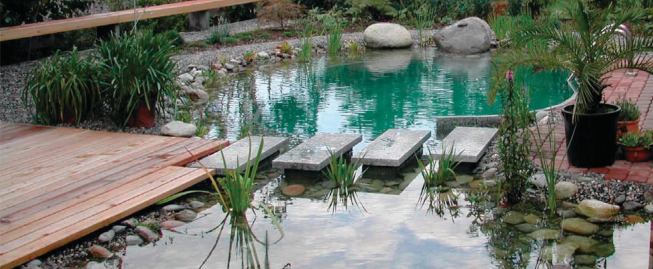 Chlorine-free pools function as constructed wetlands, using local aquatic species. There are no constraints on shape or climate zone, and traditional pools can be converted to natural pools. Regeneration areas can be sited next to the pool or at a distance.
