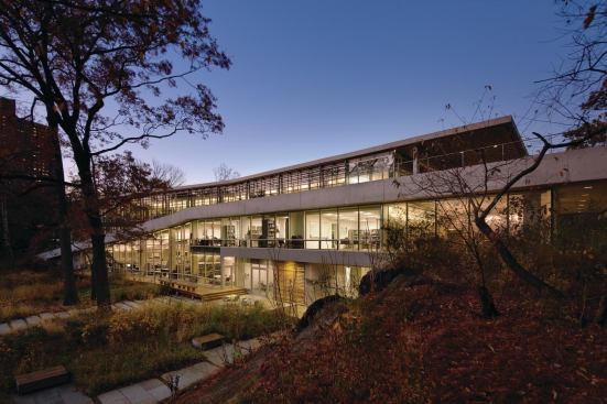 The Center's area was reduced by 25 percent, from 47,000 to 35,000 square feet. It's situated at the northern edge of a clearing and is surrounded by deciduous trees.