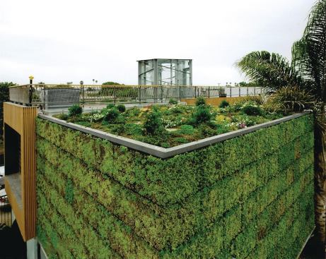#5 ELT Modular Planted Panels Consisting of modular planted panels, the EasyGreen Living Wall System provides for easy installation of a living wall. The panels angled cells hold soil and plants in place while creating maximum green surface area, the maker says, and the overall design allows water to move downward through every cell in the panel. The 4-inch-deep panels mount directly to the wall or on a standalone frame. 866.306.7773.
www.eltlivingwalls.com.