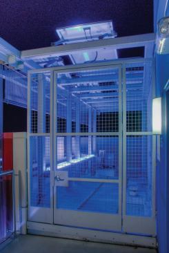 Octavia Court 

San Francisco