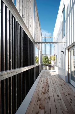 A wooden screen shields outdoor decks from nearby traffic noise while framing the light that enters the living units.