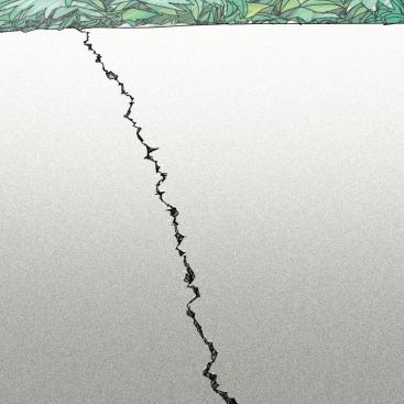 Random Cracking Cracks that radiate across a concrete surface are unsightly and unsettling. In time, water can enter a crack and freeze, which causes further damage and widens the rack.