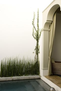 Dos Flores, Alys Beach, Fla.