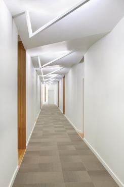 Ceiling accents add a sense of movement to the clean, bright corridors.