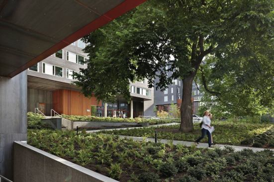 2013 RADA / Campus Housing / Grand Award: University of Washington West Campus Housing, Phase One, Seattle / Mahlum