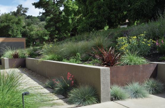 The landscaping wasn't so much of a native restoration as an "idealization of the regional landscape," says Huettl. Landscape Architect: Huettl Landscape Architecture, Walnut Creek, Calif.; Architect: Swatt|Miers, Emeryville, Calif., Builder: K. Daniel Kenny & Company, San Ramon, Calif.