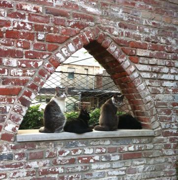 RKM preserved the existing triangular windows on the building's rear wall.