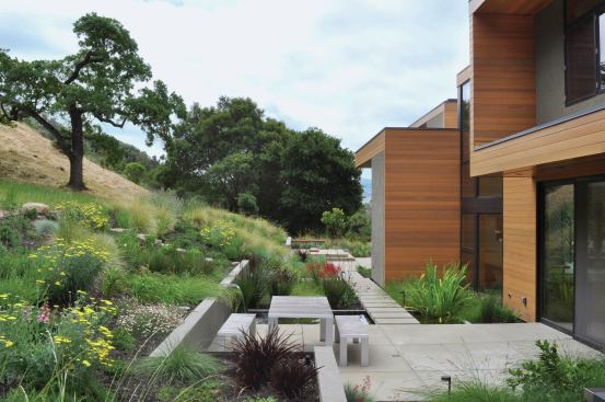 Huettl planted herbs like rosemary, lavender, and yarrow, which are deerproof and drought-tolerant. Landscape Architect: Huettl Landscape Architecture, Walnut Creek, Calif.; Architect: Swatt|Miers, Emeryville, Calif., Builder: K. Daniel Kenny & Company, San Ramon, Calif.