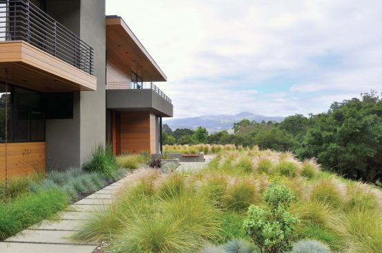 A mix of Atlas fescue, Mexican feather grass, blue oat grass, and Berkeley sedge work in combo. Landscape Architect: Huettl Landscape Architecture, Walnut Creek, Calif.; Architect: Swatt|Miers, Emeryville, Calif., Builder: K. Daniel Kenny & Company, San Ramon, Calif.