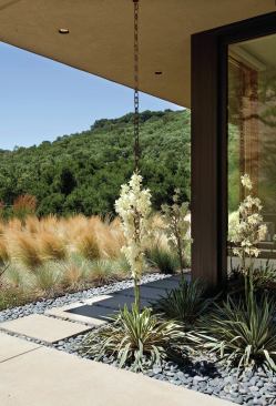Those golden California hills of song and legend? Many of those grasses were brought over by the Spaniards. Landscape Architect: Huettl Landscape Architecture, Walnut Creek, Calif.; Architect: Swatt|Miers, Emeryville, Calif., Builder: K. Daniel Kenny & Company, San Ramon, Calif.