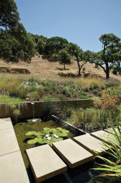Satisfying the owners' requirements for native plants involved compromise. Landscape Architect: Huettl Landscape Architecture, Walnut Creek, Calif.; Architect: Swatt|Miers, Emeryville, Calif., Builder: K. Daniel Kenny & Company, San Ramon, Calif.