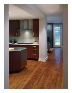 Just beyond the kitchen is the living room, with a door that leads to the side yard.  