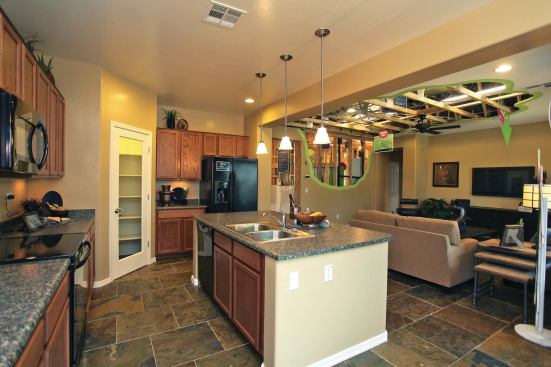 Inside Out Meritage Homes shows, rather than tells, the story of its homes' energy-sipping ways by opening the walls and ceilings of its models.