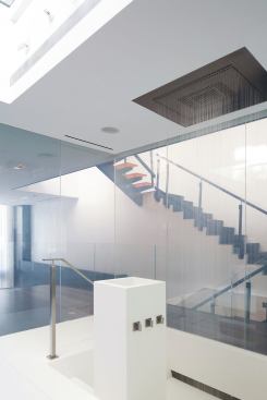 The privacy glass wall system is coupled with sleek design details like an inset rain shower head and a recessed tub with steps leading down. 