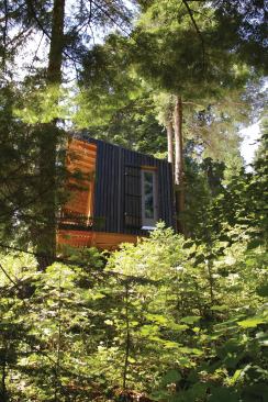 The designer treated the shed with a dark stain to help it hide in the forest.