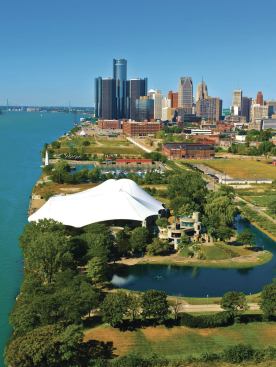 Detroit has more than 200,000 vacant or abandoned parcels that bring in little tax revenue and that would cost more to maintain than the city can afford.