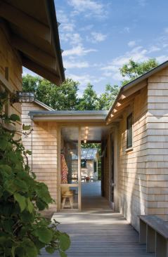 The entry gives a glimpse of the boardwalk, which leads all the way to the painting studio at the back of the property.