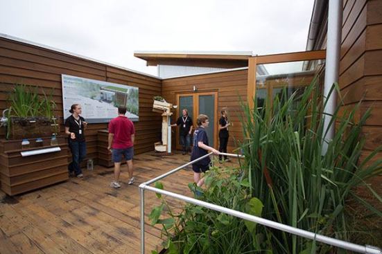 Visitors walk past a wetlands garden to reach the concealed courtyard. In addition to linking the house to its native Chesapeake Bay watershed, the wetlands filter a mix of stormwater runoff and the home’s graywater, which is then recycled into irrigation for the indigenous and edible plantings surrounding the house.