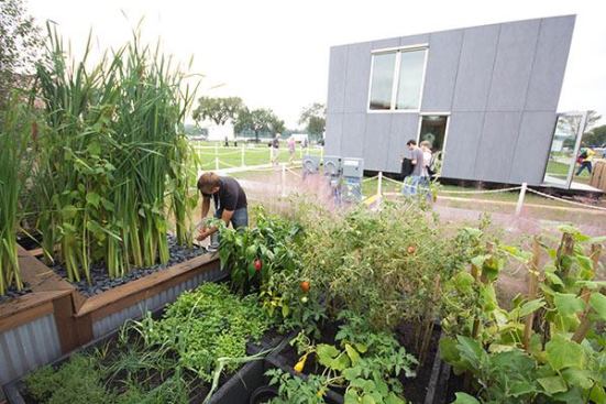 Steps away from the kitchen sink, the pergola is surrounded by vines and other plants offering fruits and vegetables.