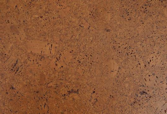 The venerable cork manufacturer has added the Eco-Nomical Series to its already vast lineup. A premium glueless floating floor, the line is made with recycled wine stoppers. Like other cork flooring, it’s durable, sound absorbing, and comfortable under foot. It comes in four colors. 
www.wecork.com.