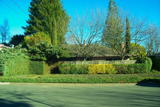 Hidden Savings. The "pre-retrofit" 1,800-square-foot house, built in the 1960s, was surrounded by trees and shrubbery.