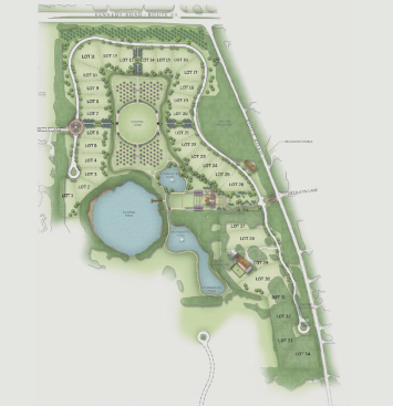 The Meadow neighborhood occupies the northern portion of the plan, while The Woods sits on the southern edge.