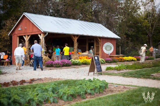 The farm stand offers produce, eggs, and chickens raised on the property, as well as locally produced beef, pork, cheese, and ice cream.