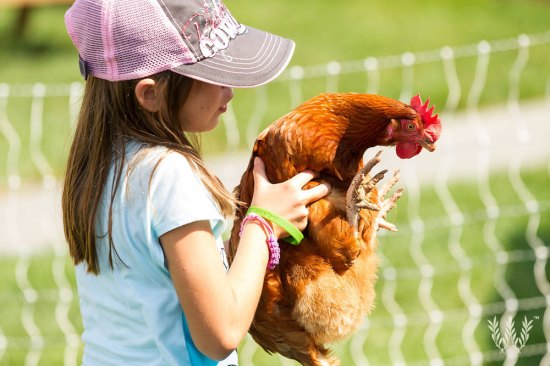 Connecting a residential community to a working farm opens certain opportunities that don’t exist in the typical suburban development.