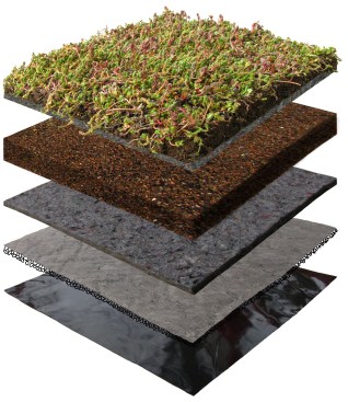 Xero Flor America Pre-vegetated roof mats integrate plant material and the growing medium onto a flexible geotextile carrier, resulting in&nbsp;a durable yet lightweight green roof option. The layered construction allows XeroFlor mats to be cut into sections&nbsp;for easy installation and roof access. The company uses plants local to the installation region and are Cradle to Cradle certified.